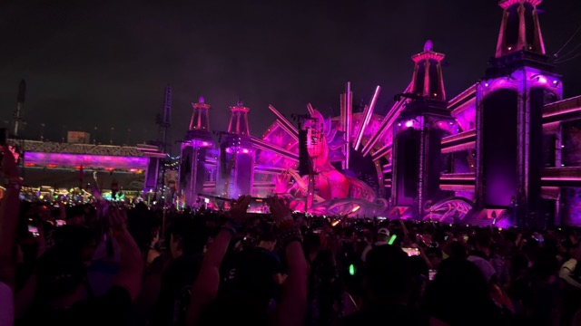 Zedd's Stay the Night