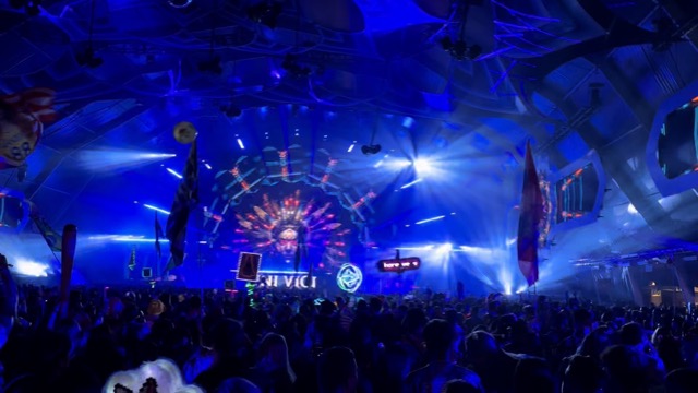 Vini Vici with my friend Lara's bunny totem in the foreground