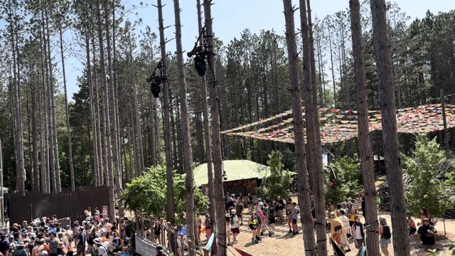 Opening the forest with Dixon's Violin