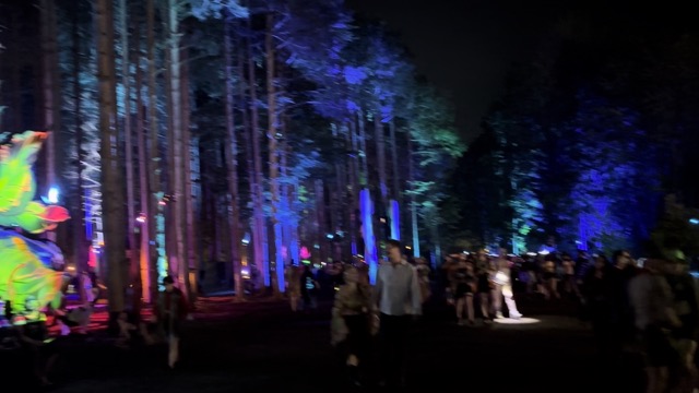 Projection in the forest