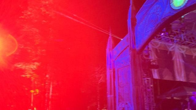 Looking around the forest while Ahmed Spins