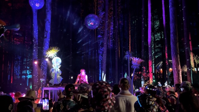 Brandi Cyrus' remix of Morgan Wallen's I'm the Problem