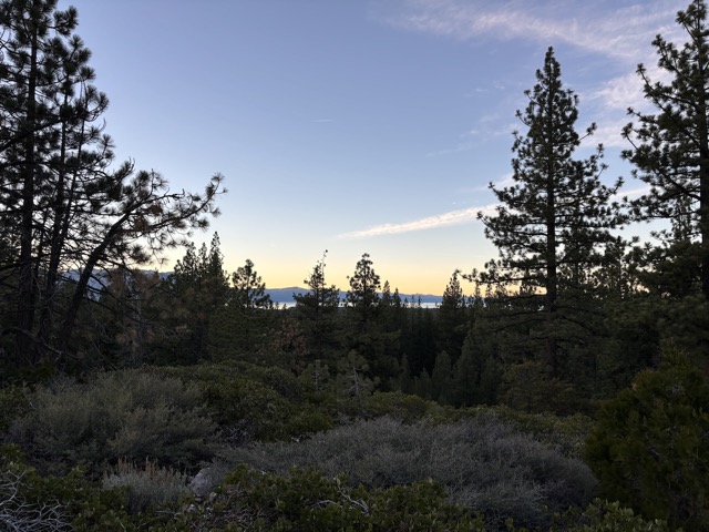 My favorite vista on the Cold Creek Trail