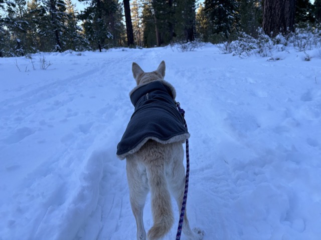 Chelsea on the nature walk