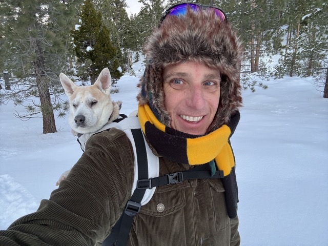 Tired Chelsea resting in the backpack