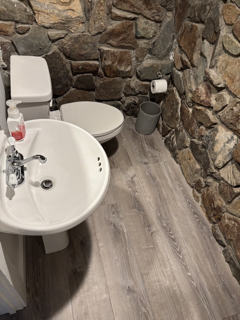 Remodeled the downstairs bathroom in Tahoe with new flooring