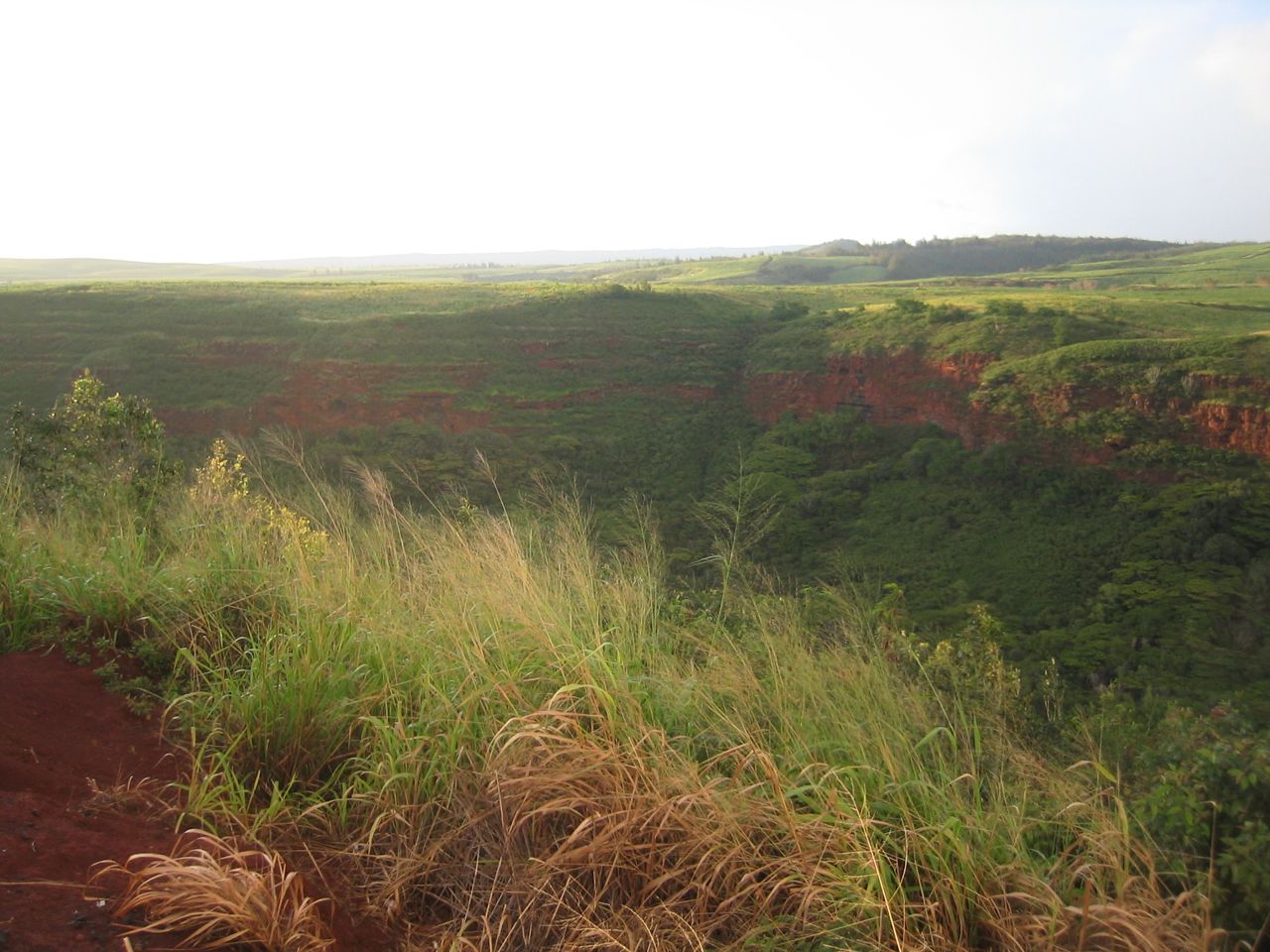 Canyon on Kauai