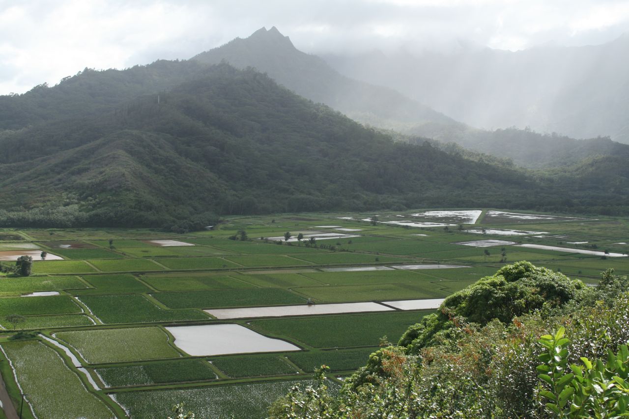 Hanalei (home of Puff the Magic Dragon)