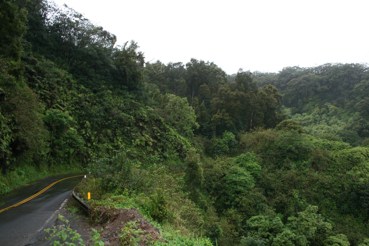 Road to Hana