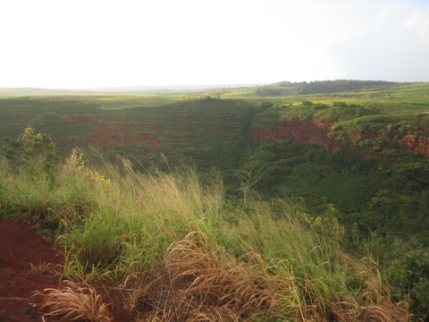 Canyon on Kauai