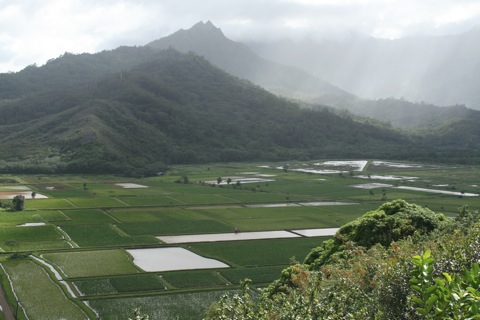 Hanalei (home of Puff the Magic Dragon)
