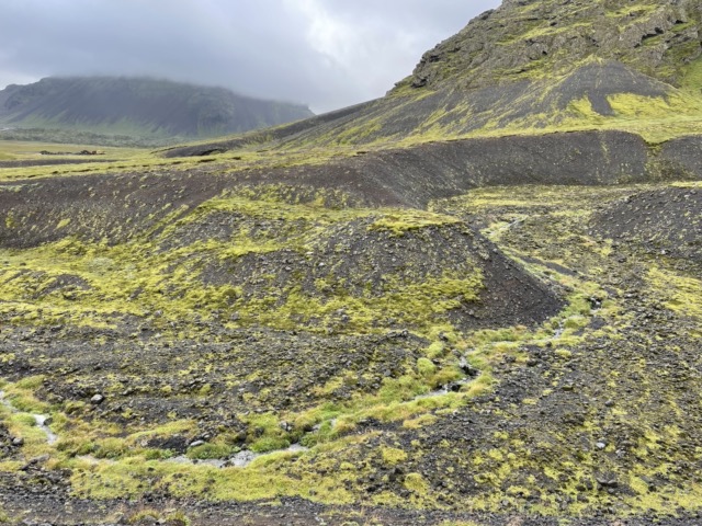 The moss on the side of the hill that they warned us not to step on because it takes hundreds of years to grow