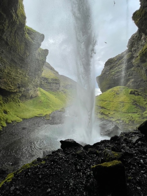 Ladies and gentlemen... the eighth wonder of the world... the back side of water!