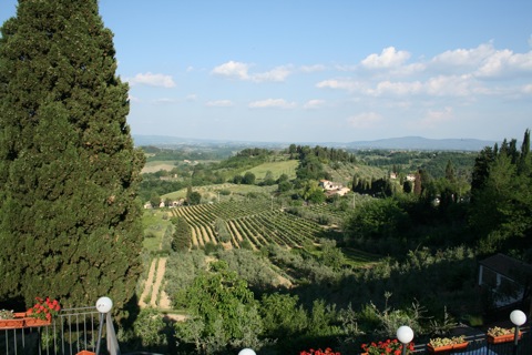 Vineyards, over looking from city