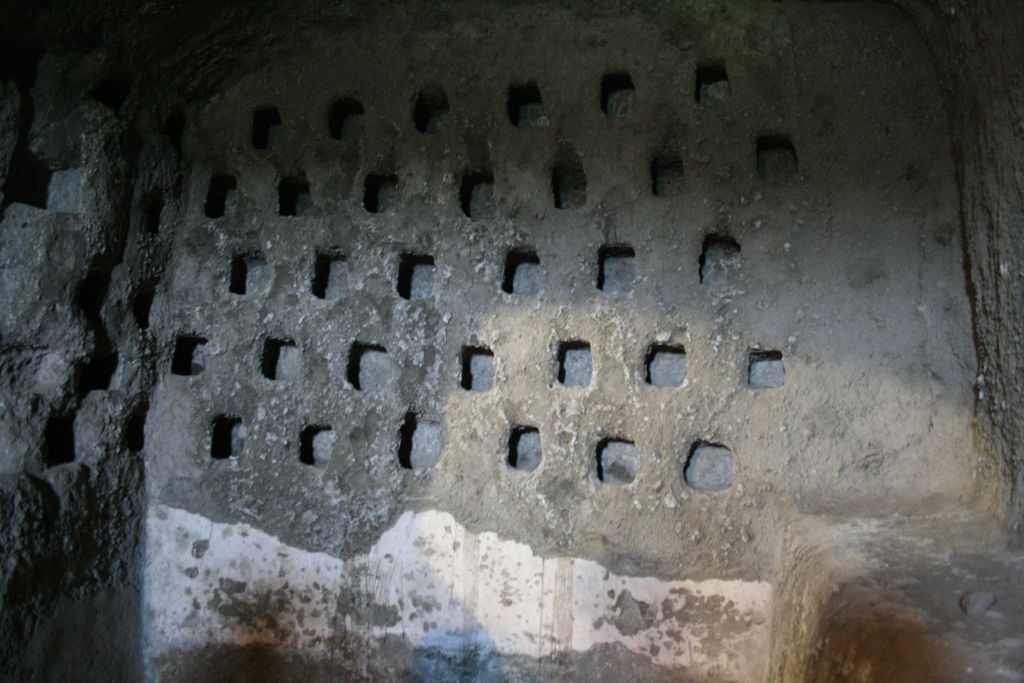 Holes where pigeons could nest