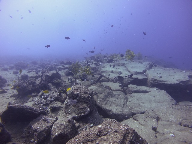 View of the reef at the Fish Bowl dive site