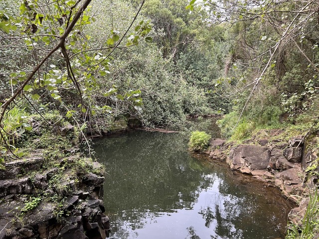 Ho'opi'i Stream