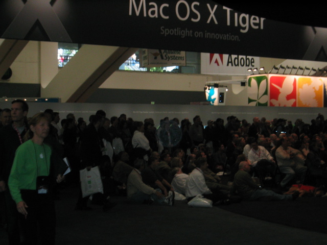 Crowd watching the show