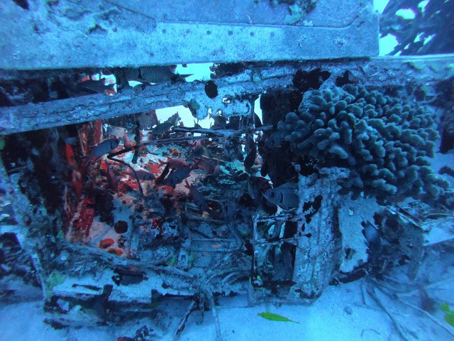 Looking inside the plane