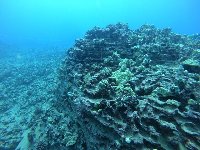 Corral at Spitting Cave