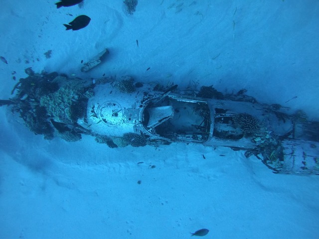 Finally got to dive the Corsair plane wreck!