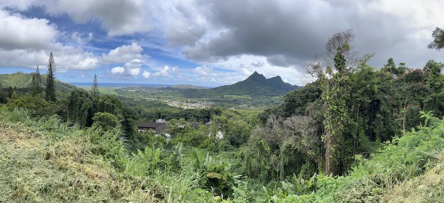 Driving along Highway 61