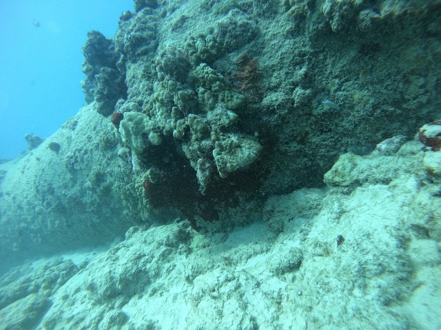 Kewalo Pipe in the Honolulu Harbor