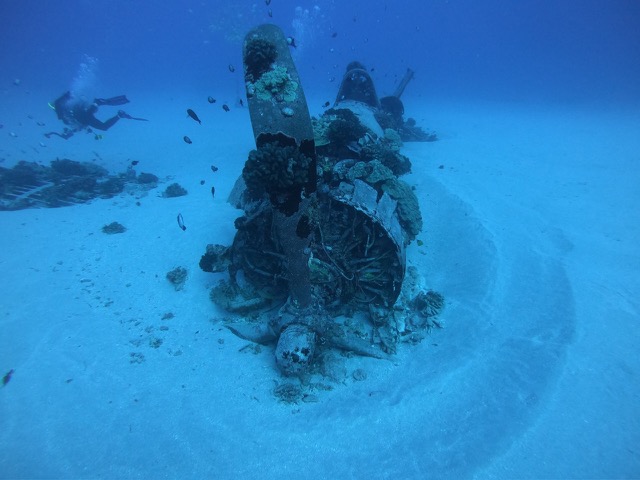 Propeller of the Corsair
