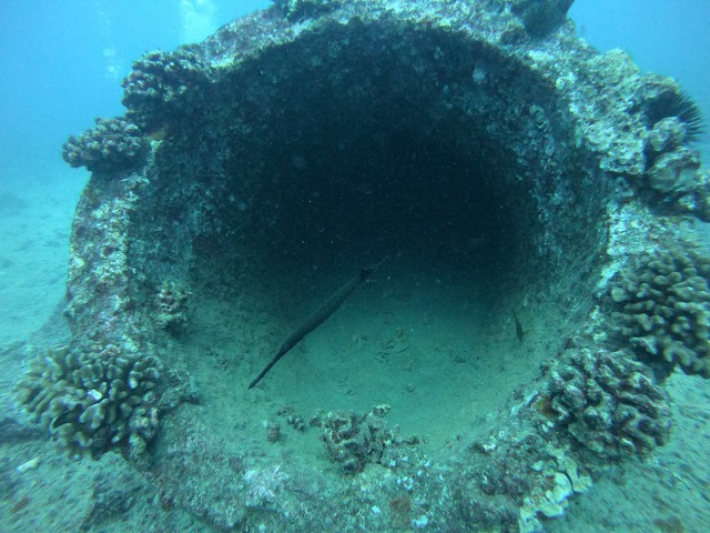 Where the Kewalo Pipe ends