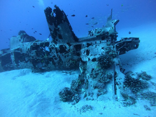 Tail section of the Corsair