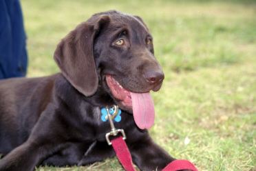 [09-cadbury-closeup.jpg]