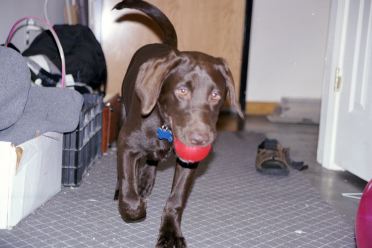 [19-cadbury-run.jpg]