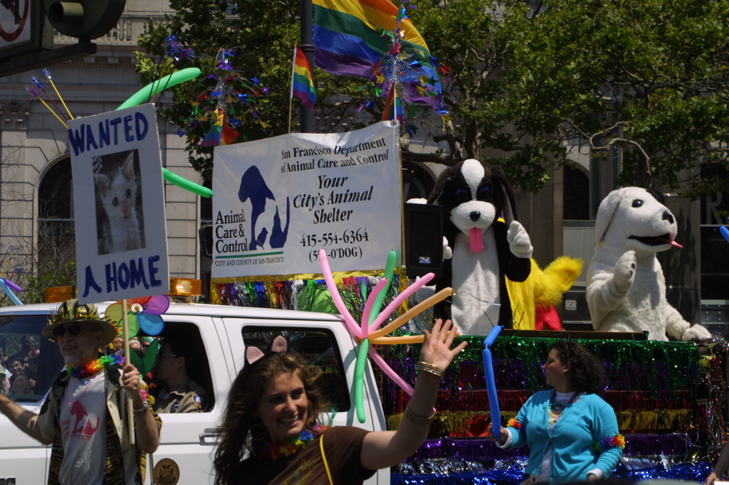 Animal Care & Control