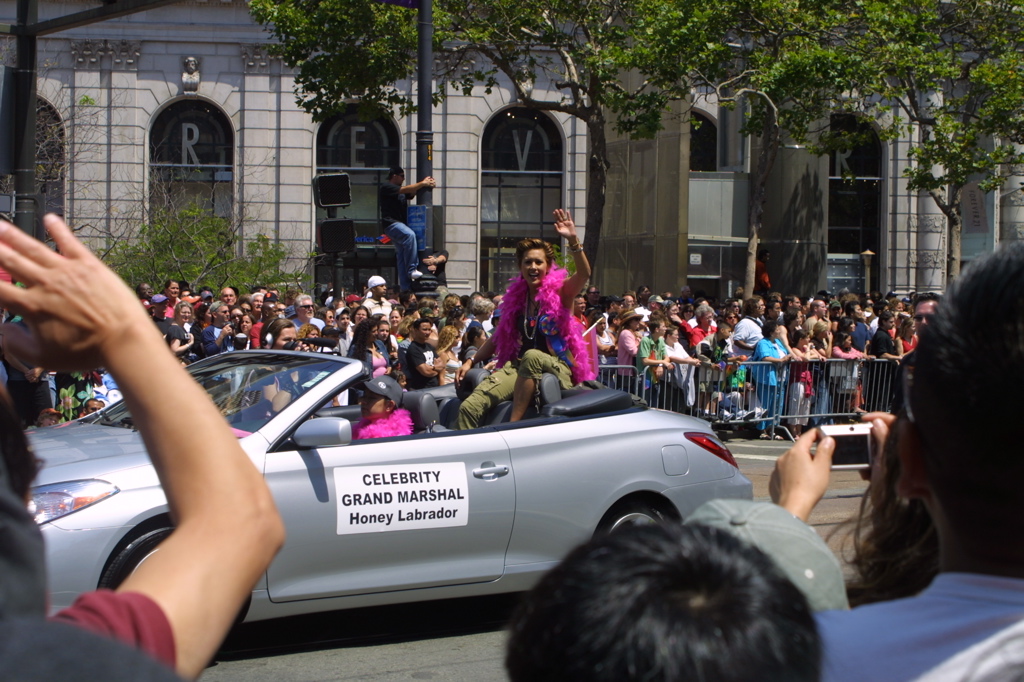 Celebrity Grand Marshal: Honey Labrador