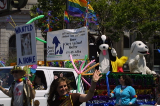 Animal Care & Control