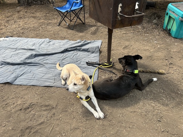 Chelsea and Javi making good use of their YETI blanket while camping