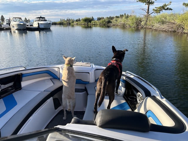 Chelsea and Javi are ready to go for a boat ride!