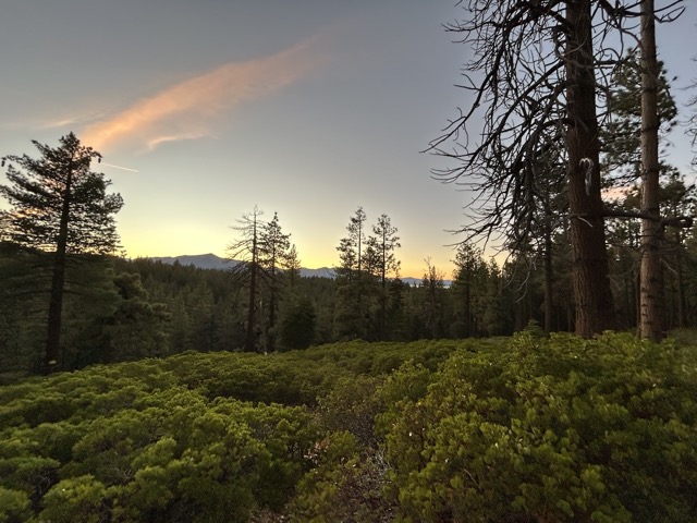 View from Cold Creek Trail