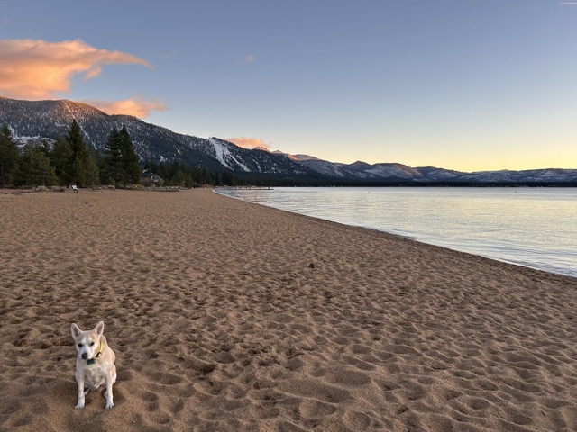 Chelsea at Nevada Beach