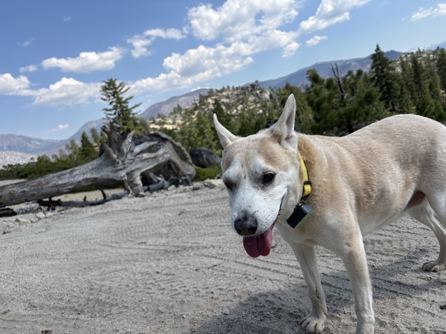 Chelsea, hot after hiking up the mountain