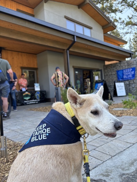 Chelsea, showing off her Keep Tahoe Blue scarf