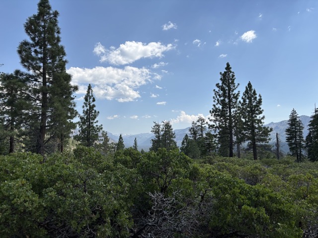 Hiking up Twin Peaks trail