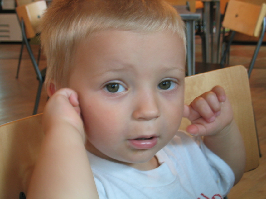 Theo at Park St. Deli