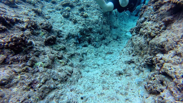 Exploring the caverns