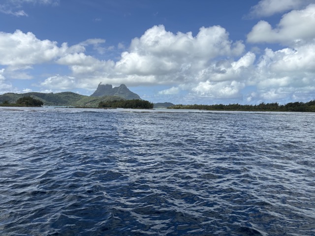 Haapiti Dive site