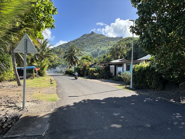 Stray dogs and trash fires