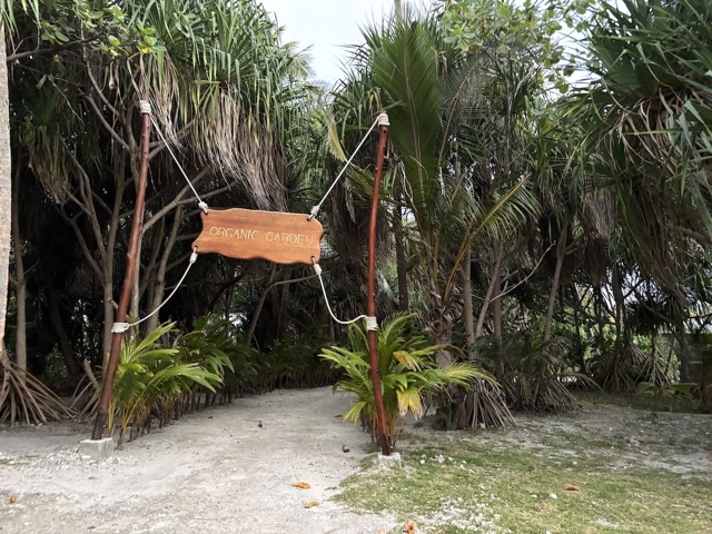 Thalasso's Organic Garden