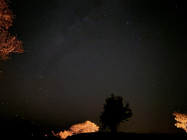 Hand-held star photo