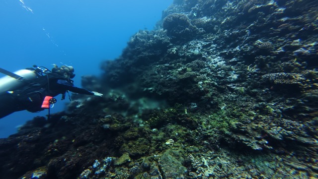 La Source, fresh water spring coming out of the rocks (the blurry part)