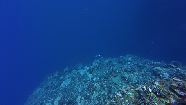 The drop-off to the deep